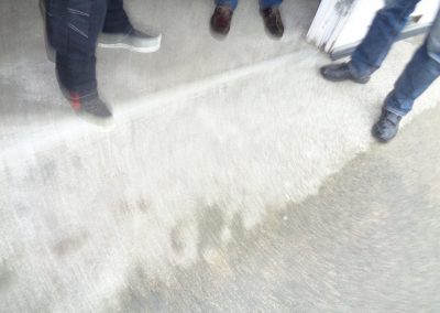 DSC03479